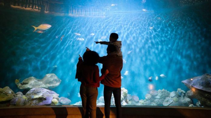 Iowa’s Must-See Family Fun Spots: Unforgettable Attractions for All Ages